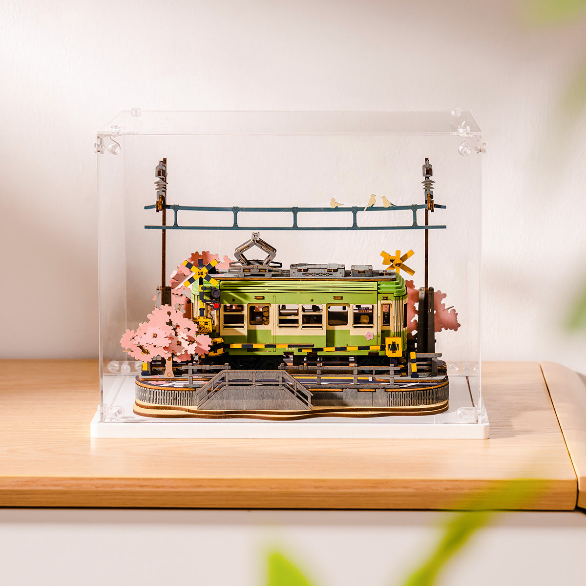 Stackable Display Box - Sakura Collection