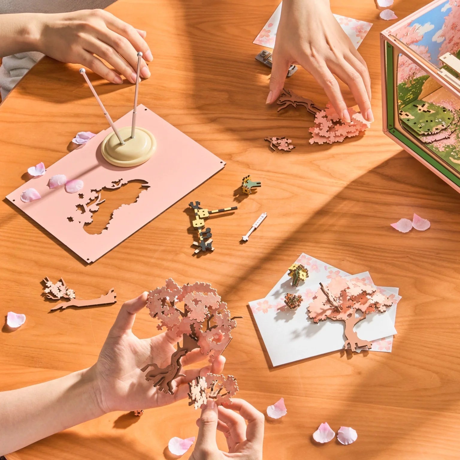 Cherry Blossom Train Musical Box 3D Puzzle